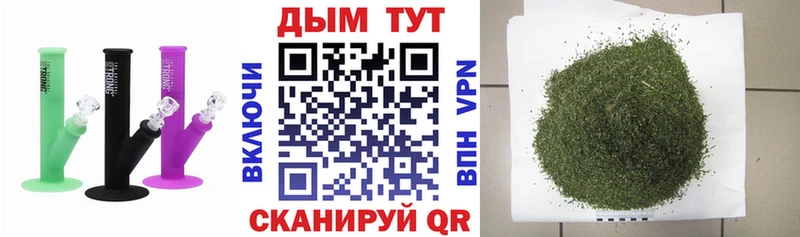 Купить где  Дорогобуж  Бошки Шишки гибрид 